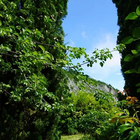 Portopiccolo Apartments With Garden And Beach Included Sistiana Exterior foto