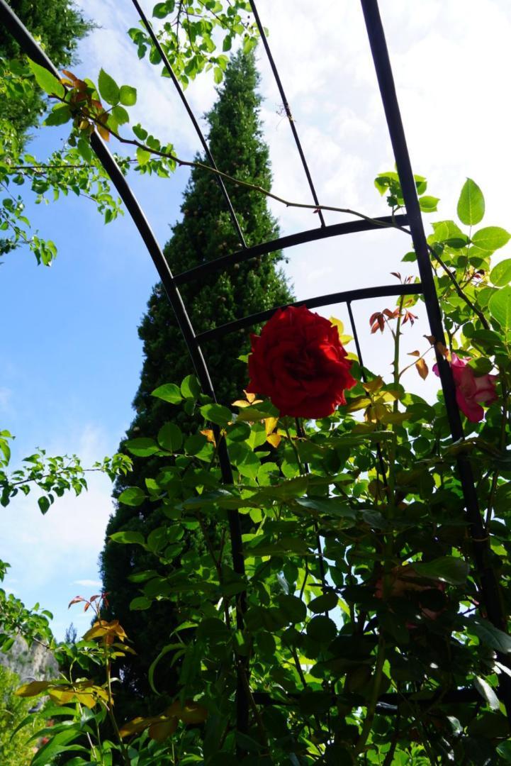 Apartment Portopiccolo With Garden And Included